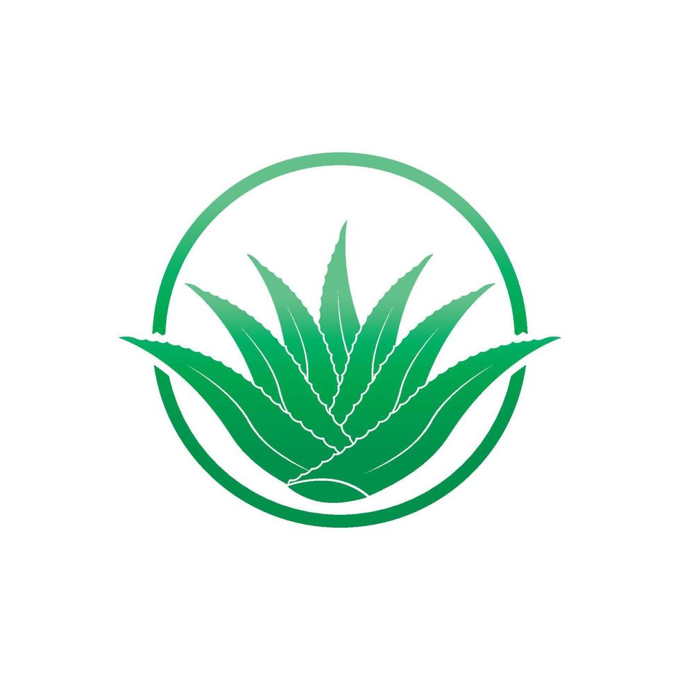 aloe vera logotyp ikon design symbol skönhet vektor