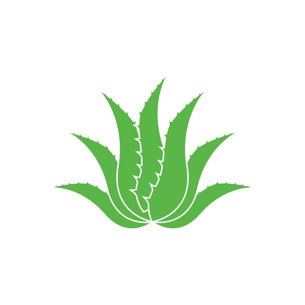 Aloe vera Logo Symbol Design Symbol Schönheit vektor