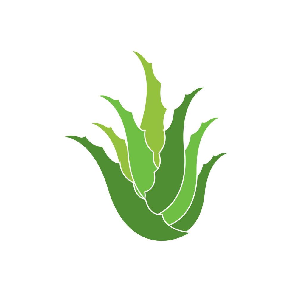 Aloe vera Logo Symbol Design Symbol Schönheit vektor