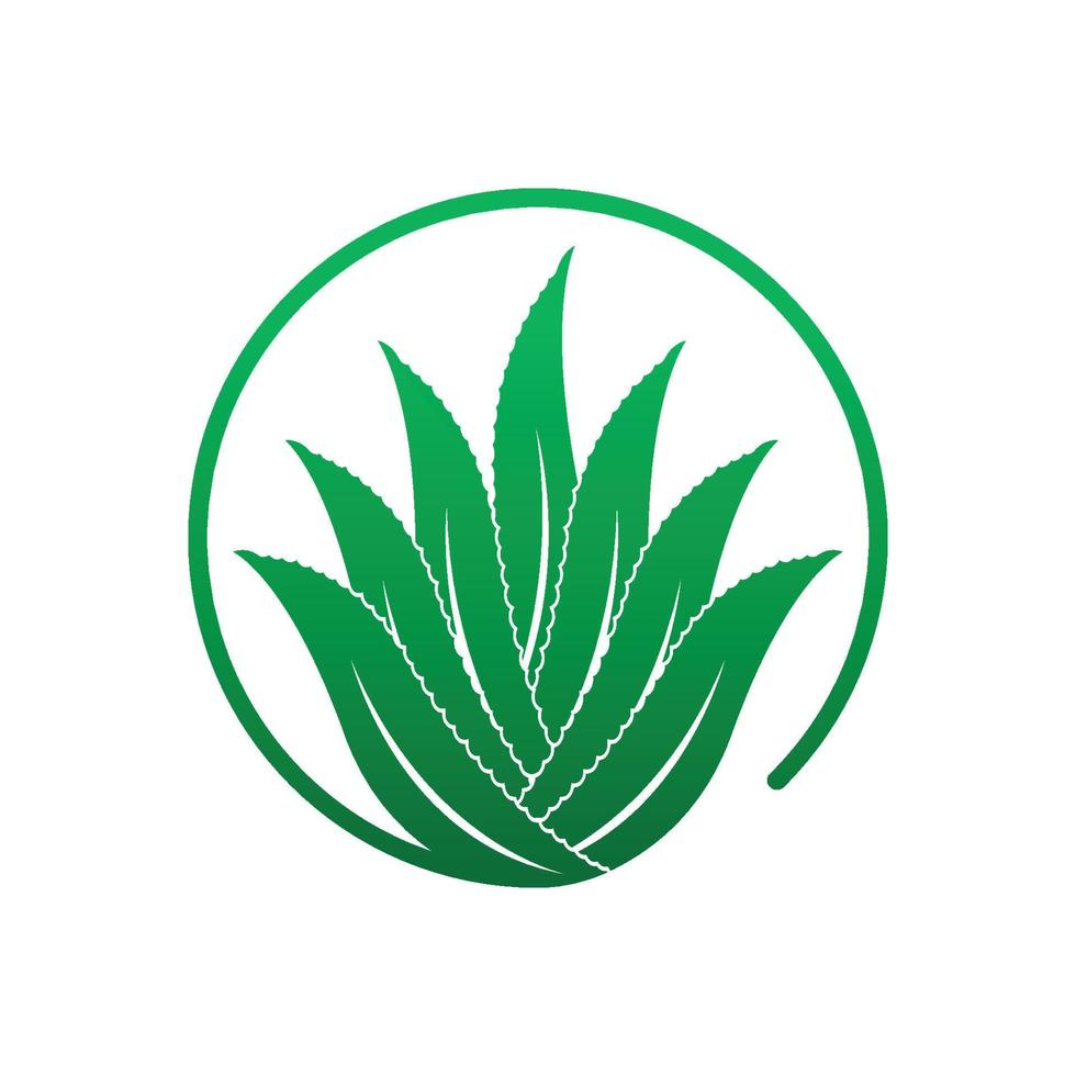 Aloe vera Logo Symbol Design Symbol Schönheit vektor