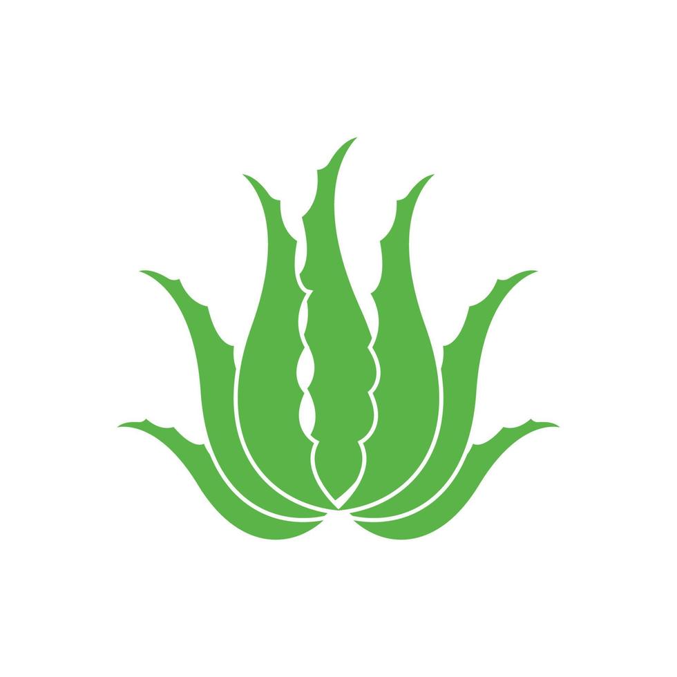 aloe vera logotyp ikon design symbol skönhet vektor