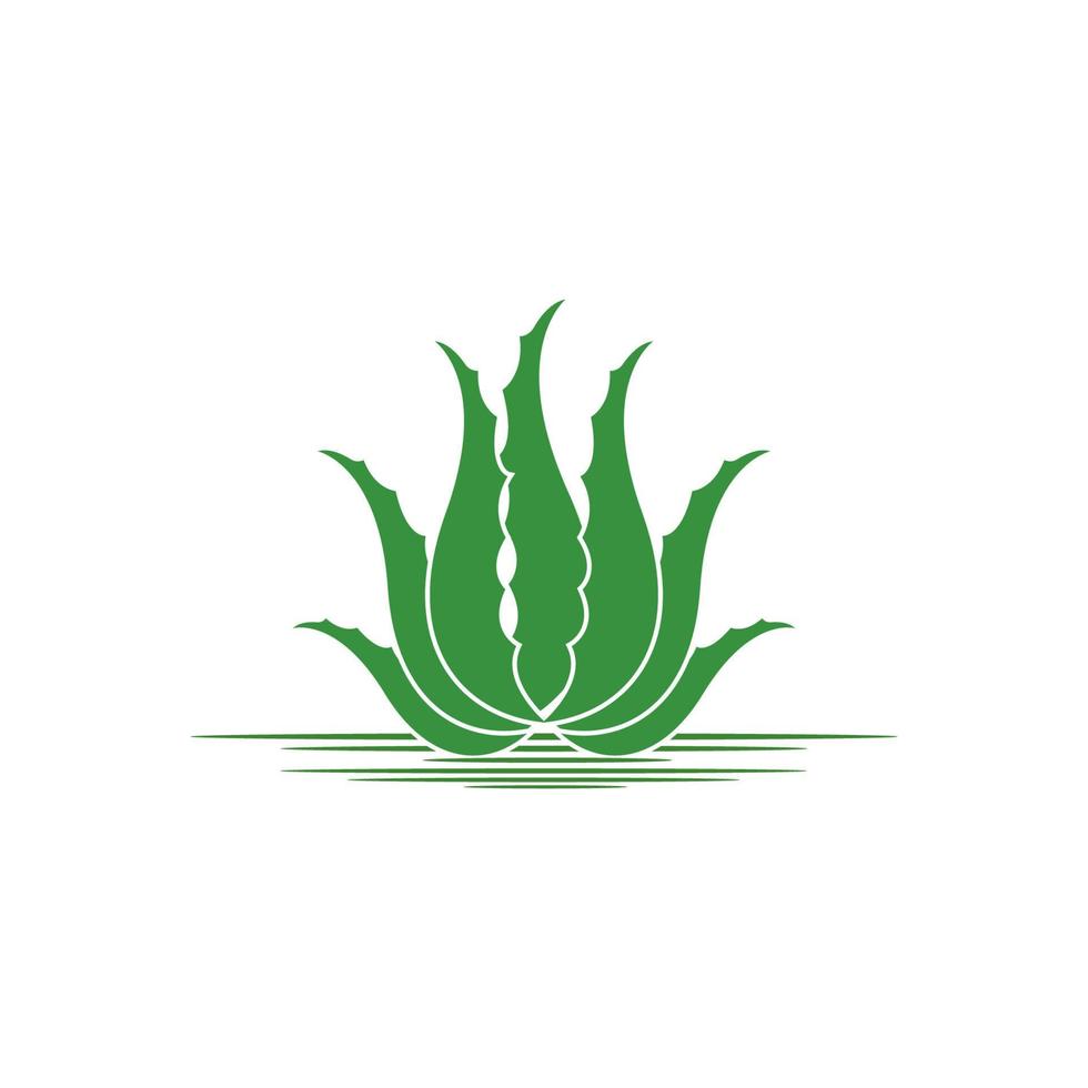 aloe vera logotyp ikon design symbol skönhet vektor