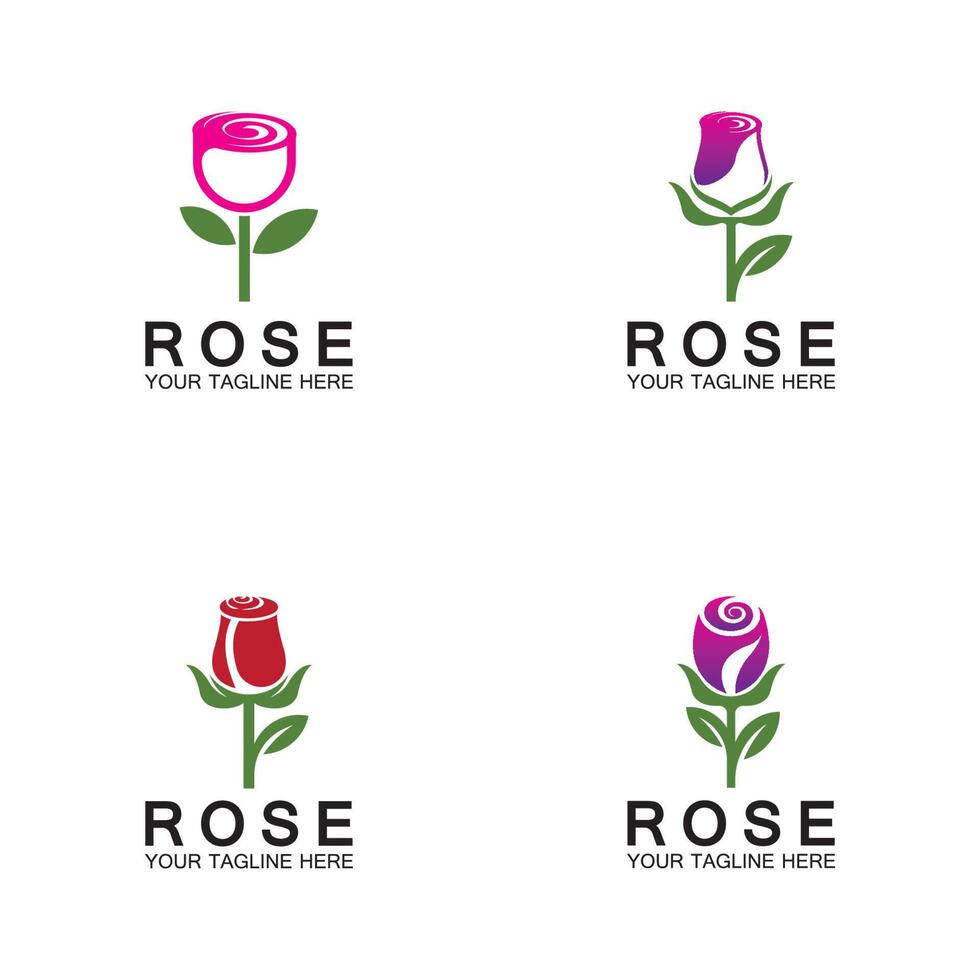 rose logo blume vektor symbol illustration design