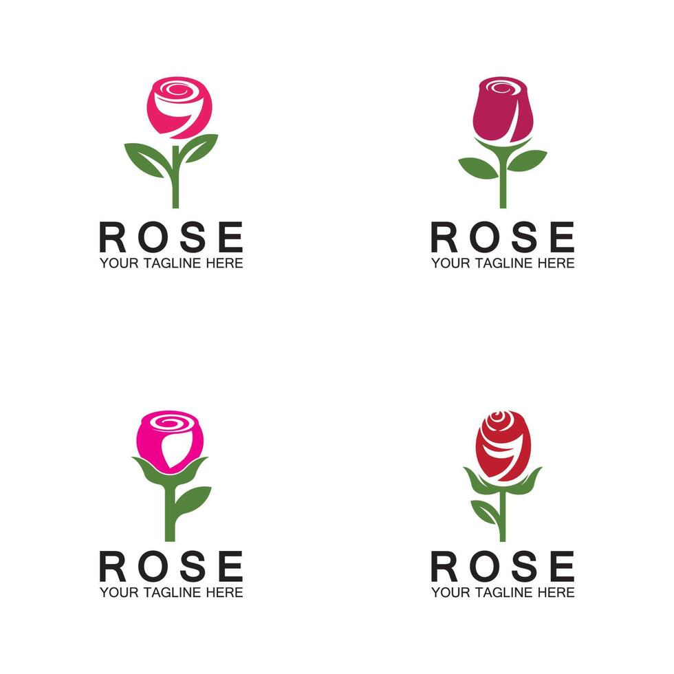 rose logo blume vektor symbol illustration design