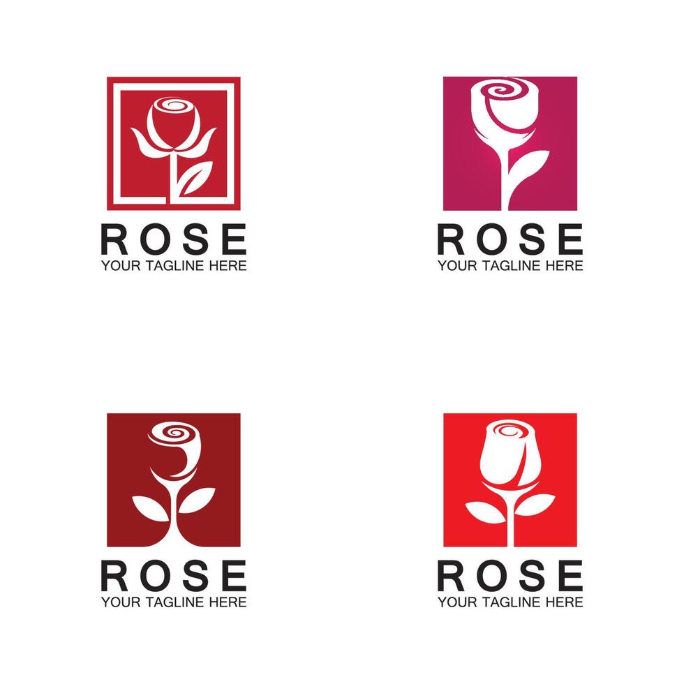 rose logo blume vektor symbol illustration design