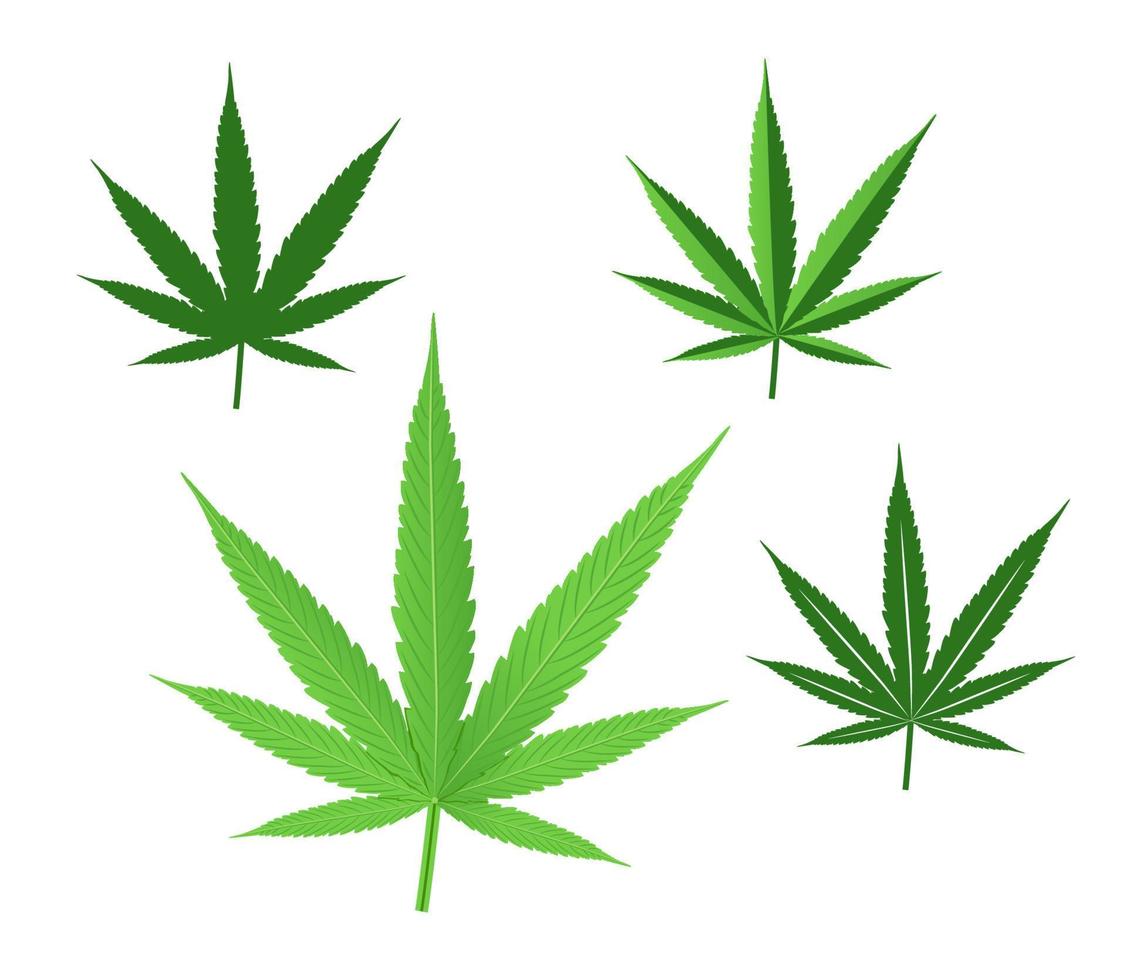 cannabis blad vektor illustration uppsättning isolerat på vit bakgrund.