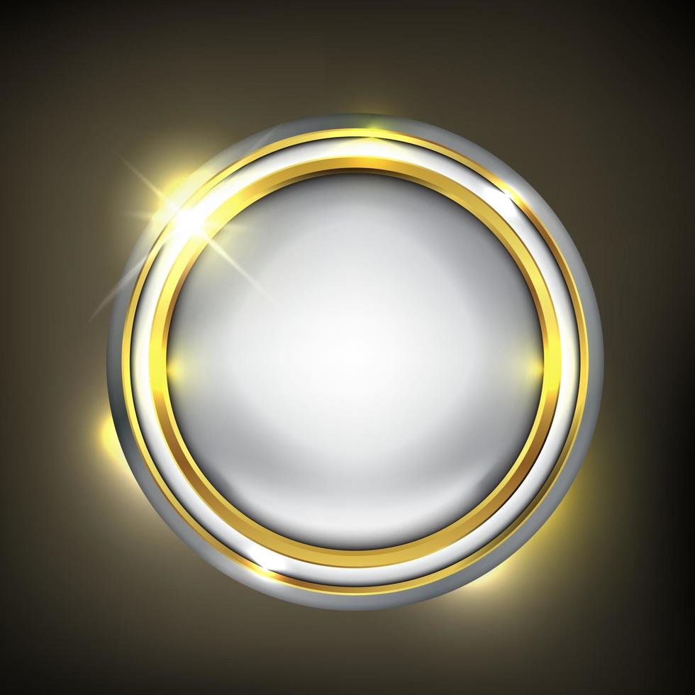 cirkel glansigt guld och silver webb-knappen vektor