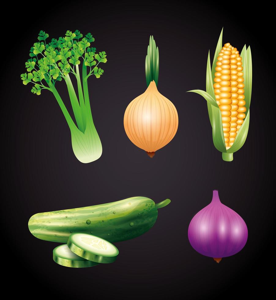 frisches Bio-Gemüse, gesundes Essen, gesunder Lebensstil oder Diät auf schwarzem Hintergrund vektor