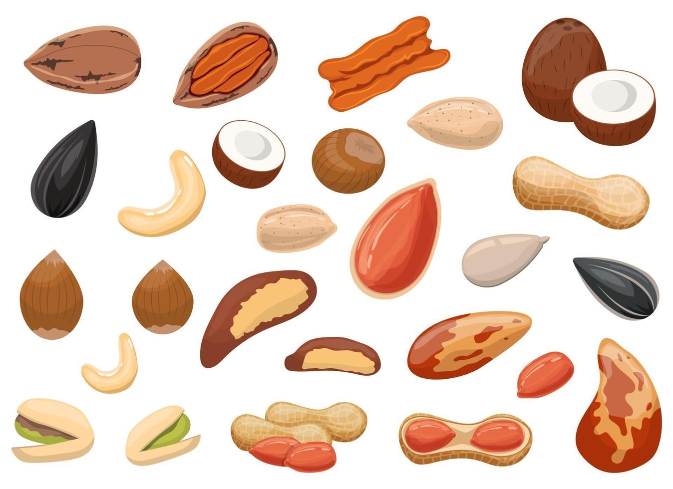 Nüsse und Erdnüsse setzen Vektordesign-Illustrationssatz lokalisiert auf weißem Hintergrund vektor