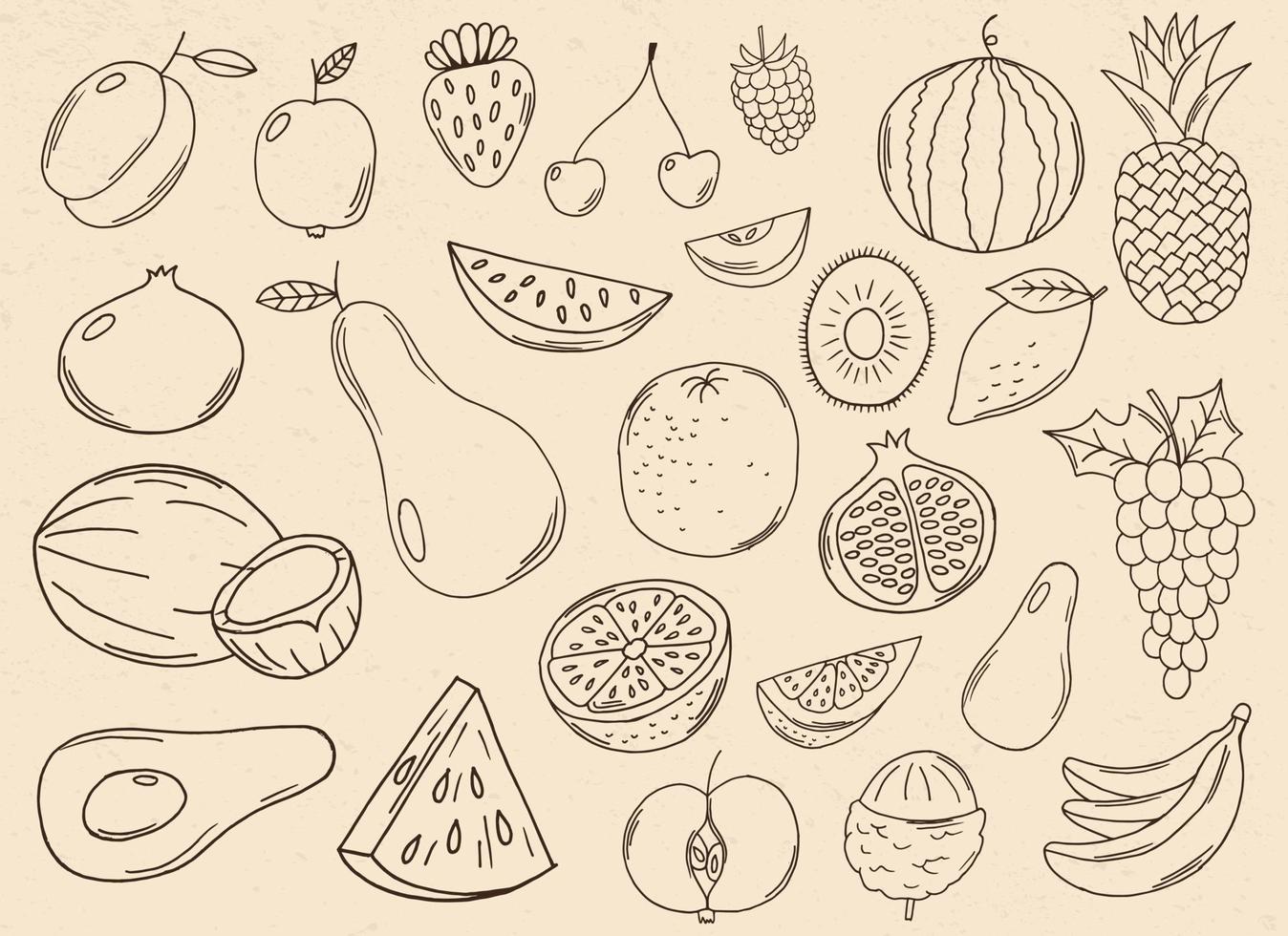 Hand gezeichnete Früchte Sammlung Vektor-Design-Illustration lokalisiert auf Hintergrund vektor