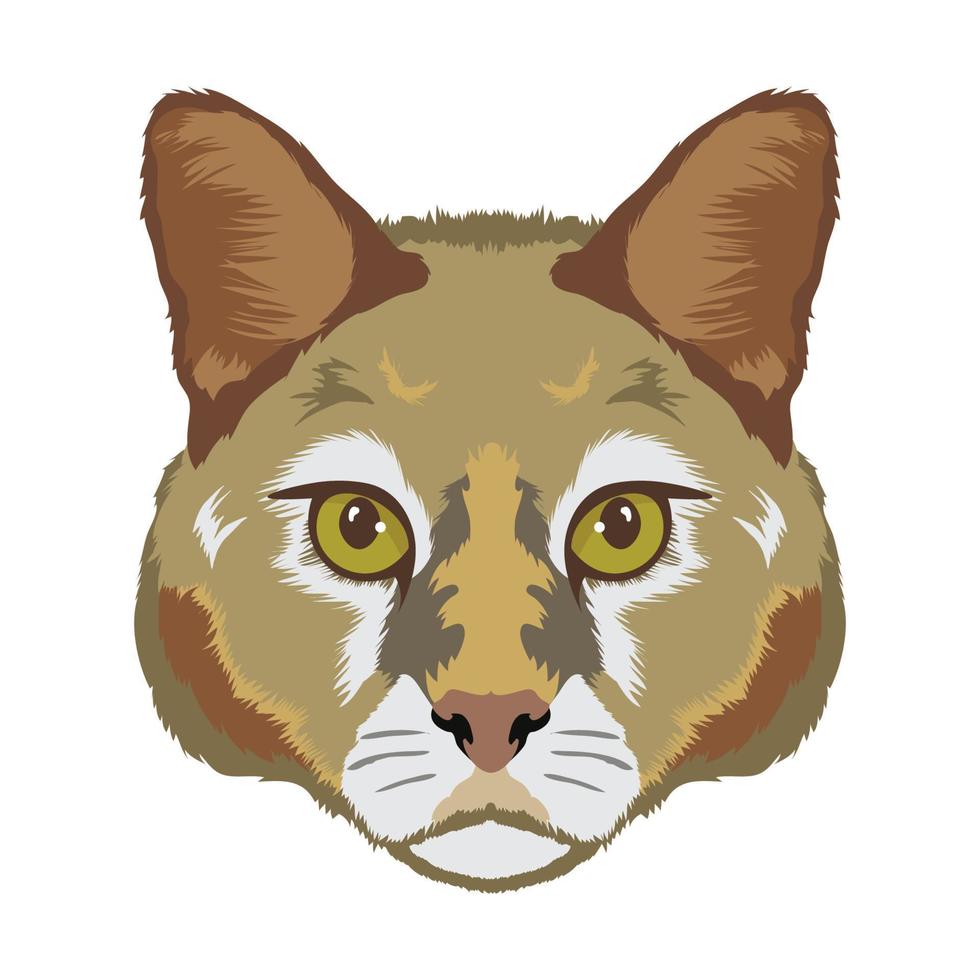 djungel katt vektor illustration, perfekt för t skjorta design och maskot logotyp