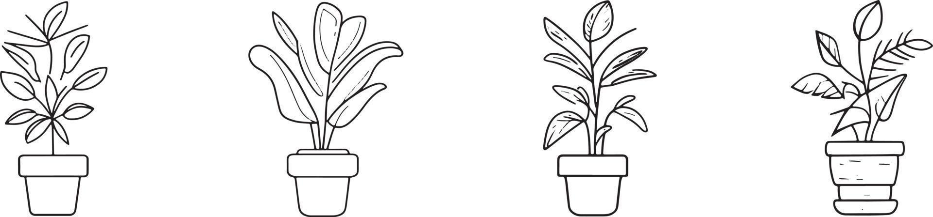 minimalistisch Sammlung von handgemalt Homeplant Töpfe im eben Design vektor