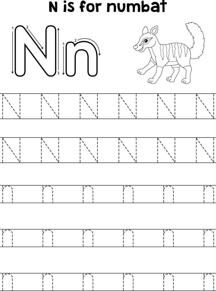 Numbat djur- spårande brev ABC färg sida n vektor
