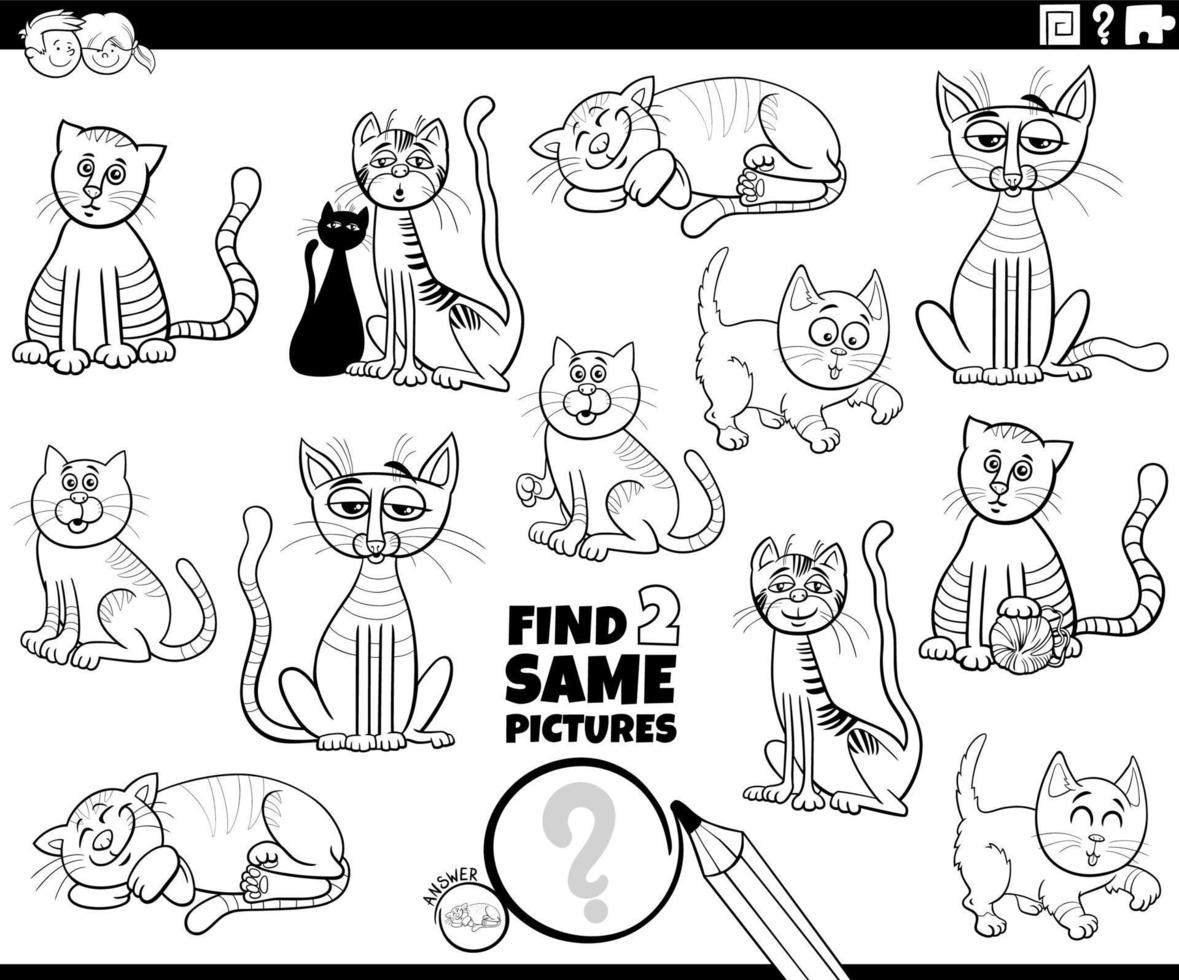finden zwei gleich Karikatur Katzen Spiel Färbung Seite vektor
