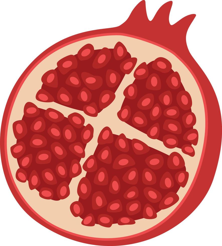 Hälfte Granatapfel Illustration vektor