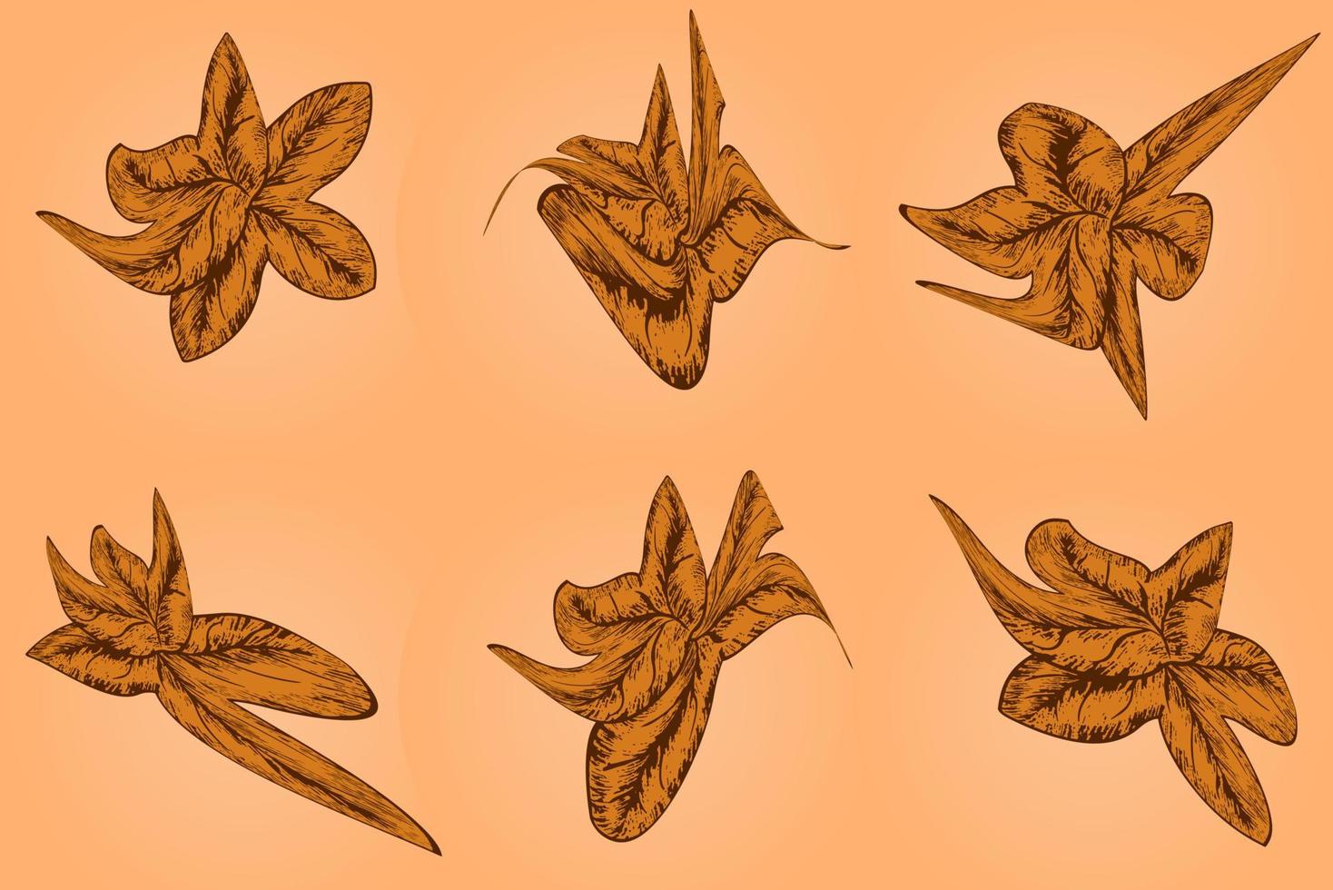 uppsättning av höst brun löv - fallen blad vektor