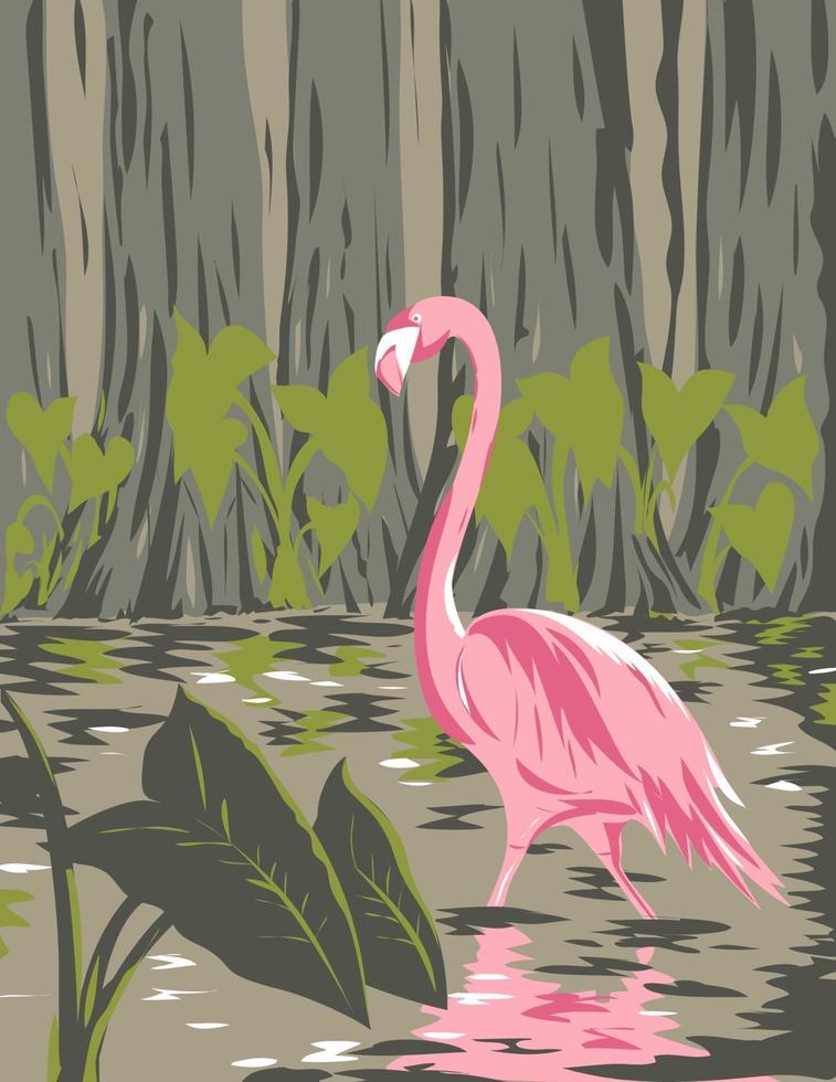 Flamingo im Everglades-Nationalpark in Florida Vereinigte Staaten von Amerika wpa Plakatkunst vektor