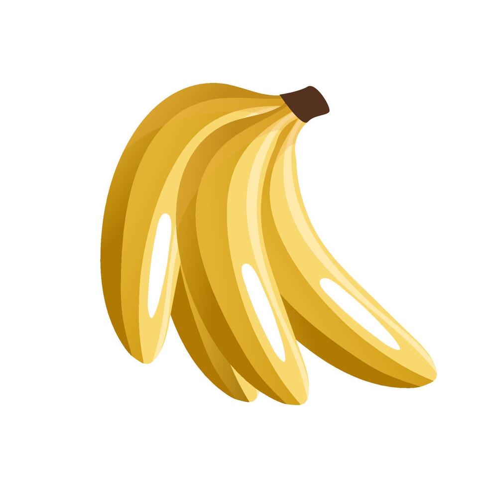 reif Banane Bündel. frisch Gelb Obst zum gesund Essen, organisch Essen Werbung Design. Süss Obst voll von Vitamine. Vektor köstlich Nachtisch, isoliert Illustration