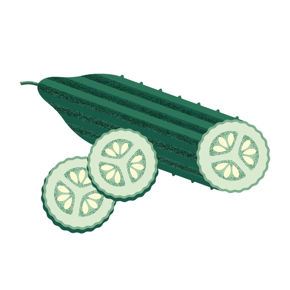 Grün Gurke geschnitten mit Pickel und Saat im das Stil von ein modern eben mit ein laut Grunge Textur. Gemüse zum das Mittelmeer oder vegan Diät . Lager Vektor Illustration isoliert