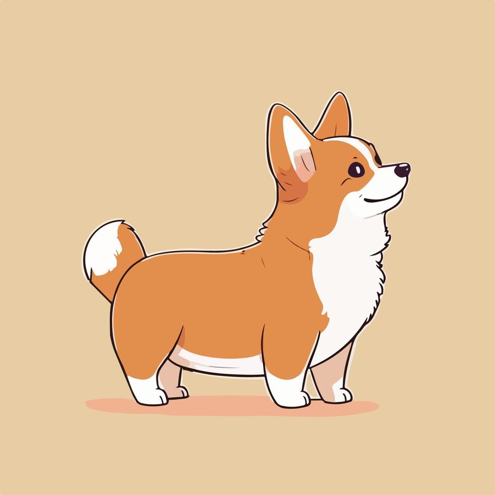 tecknad serie söt corgi illustration. isolerat vektor hund.