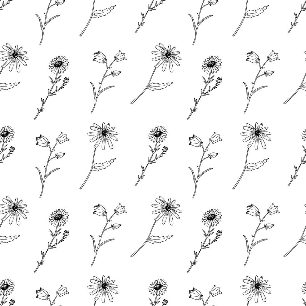vektor sömlös mönster med vilda blommor. hand dragen blommor på vit bakgrund. kamomill, gloriosa daisy och klockblomma. sommar mönster.