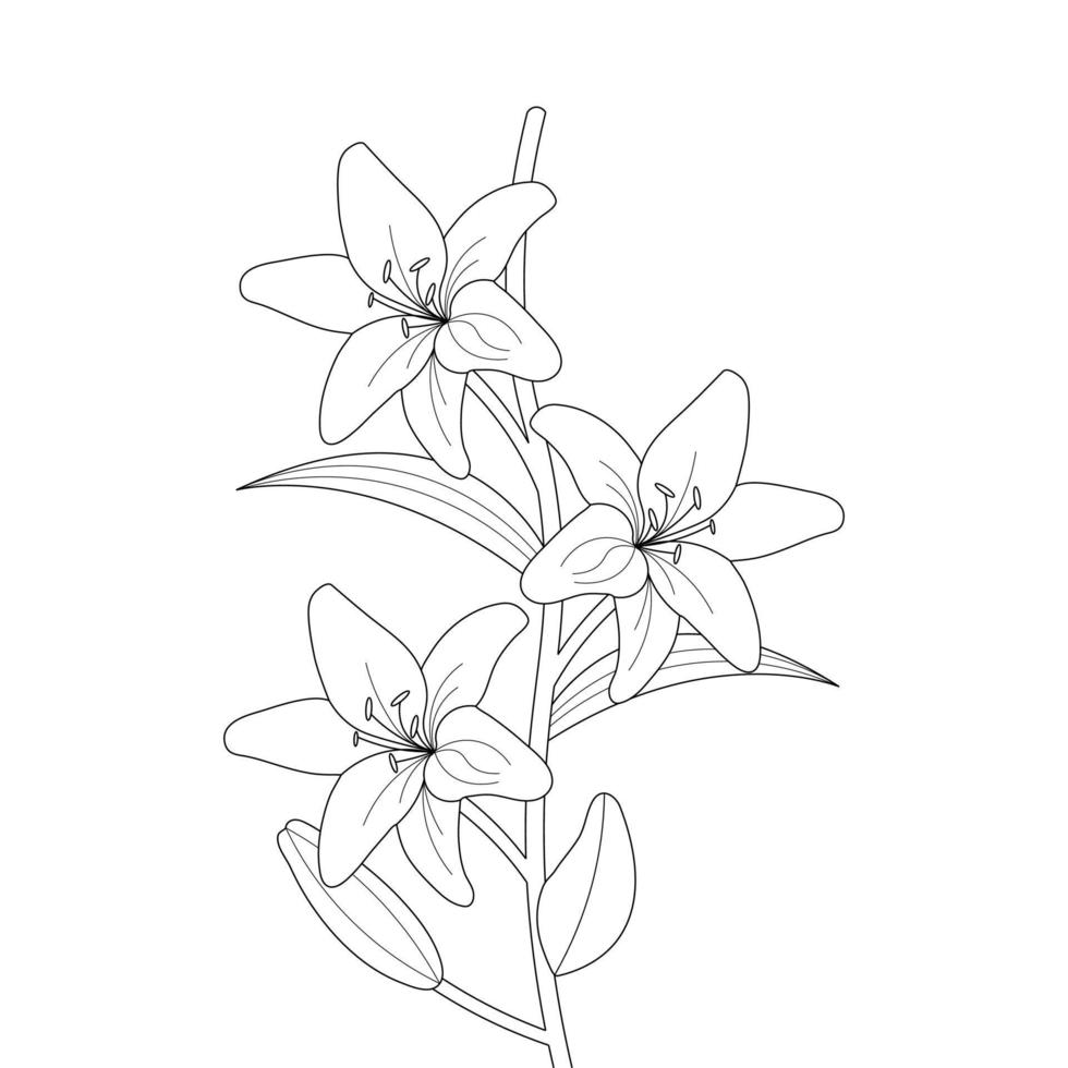 Lilie Blume Färbung Seite und Buch Hand gezeichnet Linie Kunst Illustration vektor