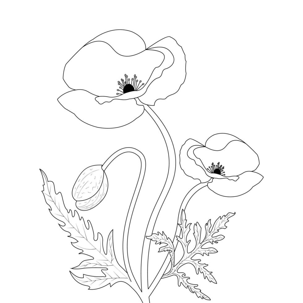 blomma färg sida och bok vallmo blomma linje konst hand dragen illustration vektor