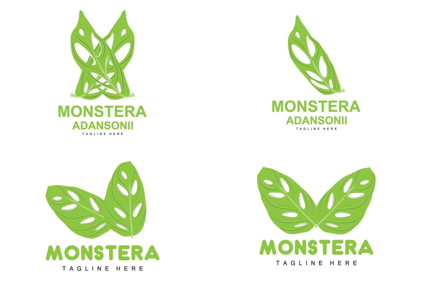 monstera adansonii blad logotyp, grön växt vektor, träd vektor, sällsynt blad illustration vektor