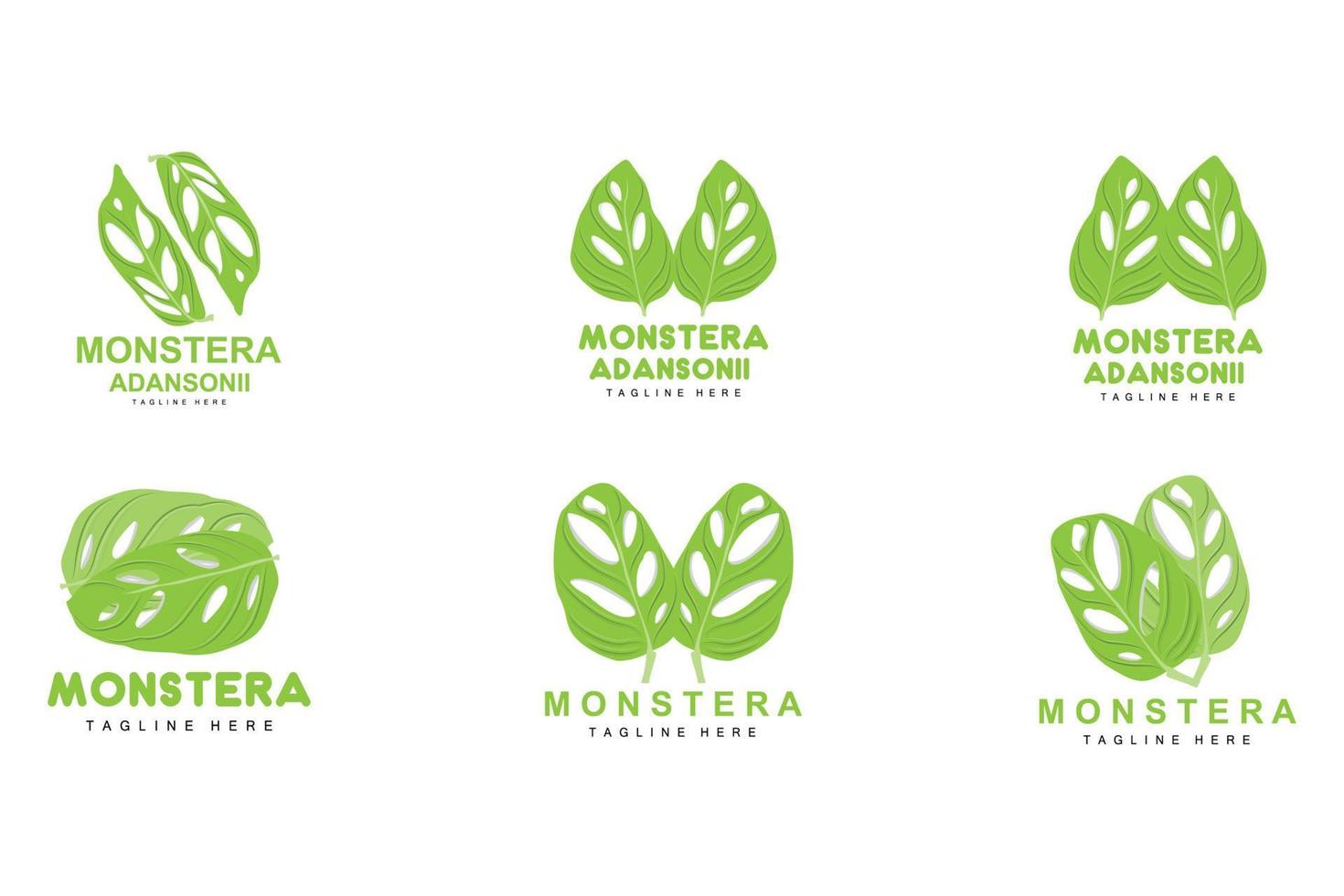 monstera adansonii-blattlogo, grünpflanzenvektor, baumvektor, seltene blattillustration vektor