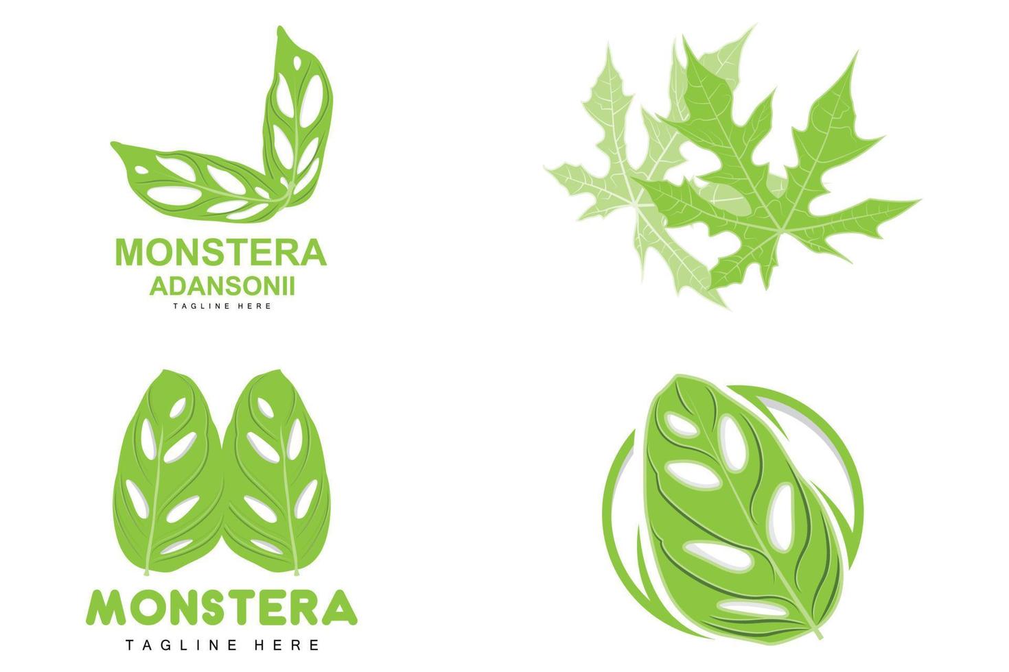 monstera adansonii-blattlogo, grünpflanzenvektor, baumvektor, seltene blattillustration vektor