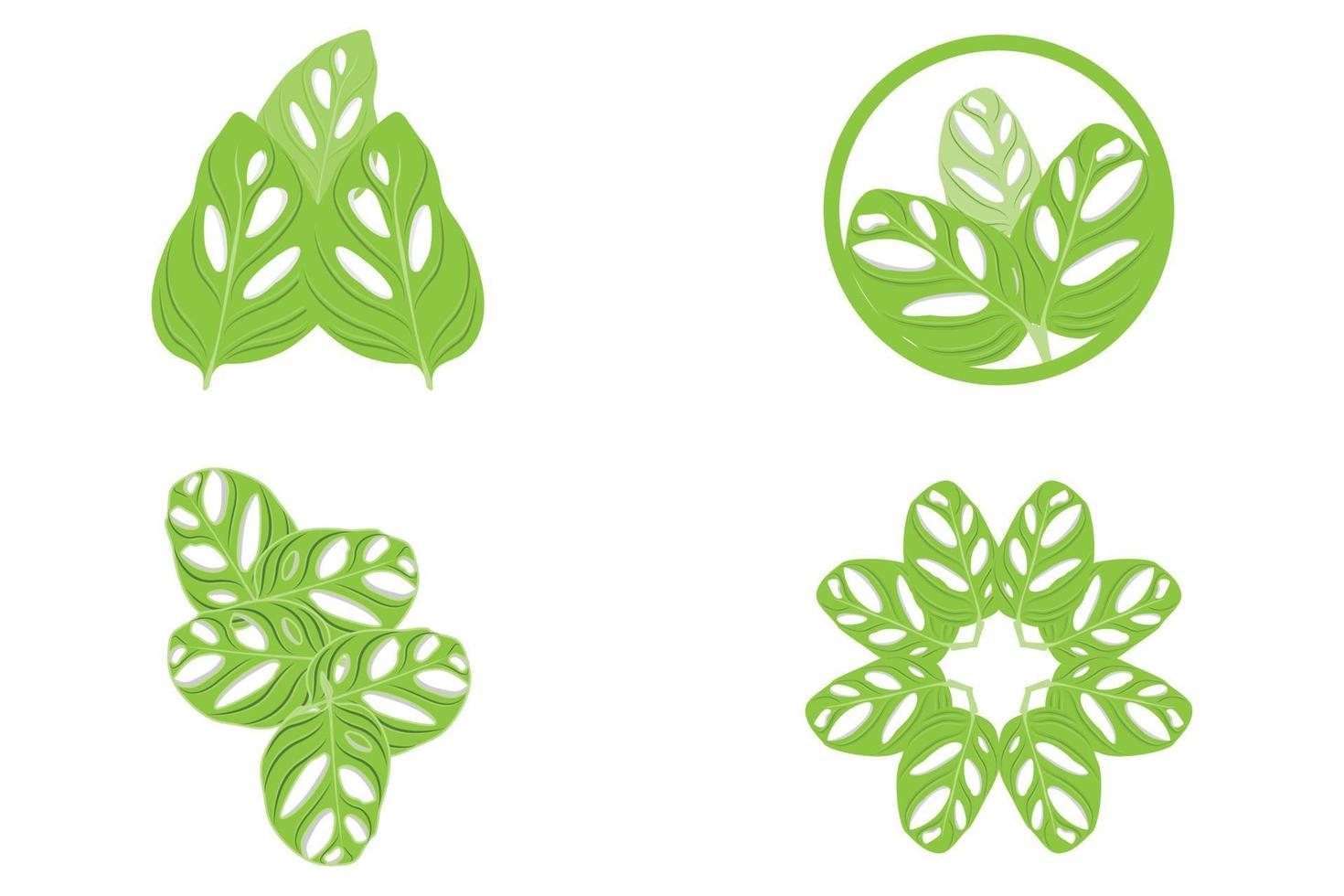 monstera adansonii blad logotyp, grön växt vektor, träd vektor, sällsynt blad illustration vektor