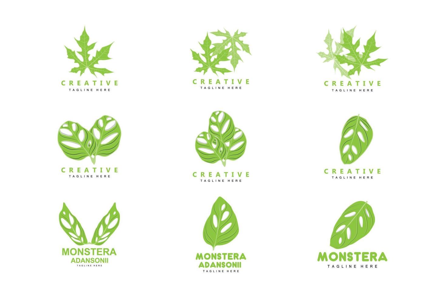 monstera adansonii blad logotyp, grön växt vektor, träd vektor, sällsynt blad illustration vektor