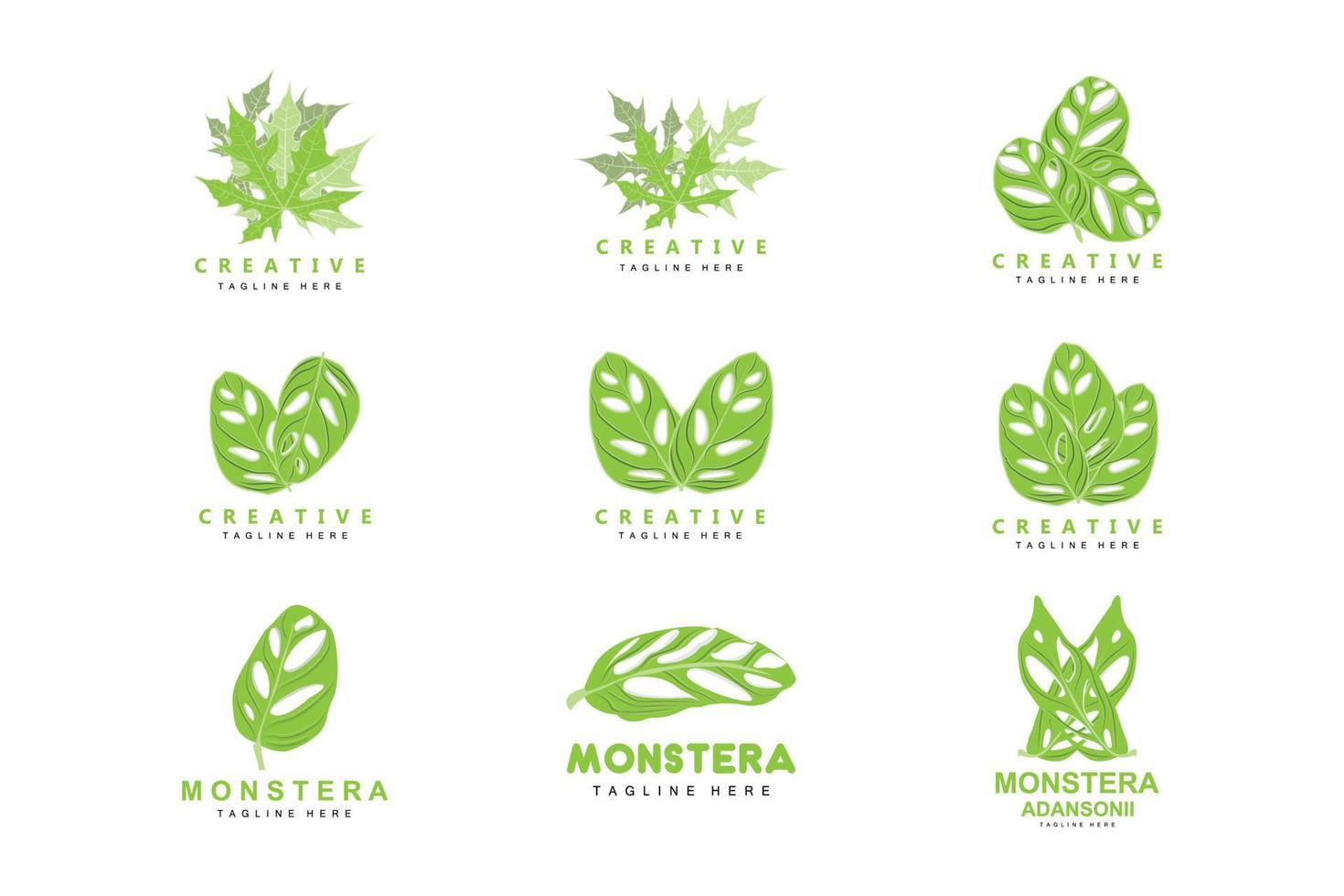 monstera adansonii blad logotyp, grön växt vektor, träd vektor, sällsynt blad illustration vektor