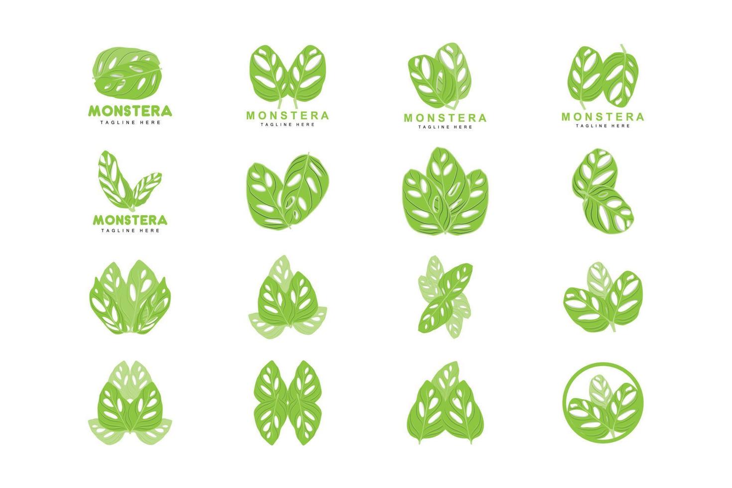 monstera adansonii blad logotyp, grön växt vektor, träd vektor, sällsynt blad illustration vektor
