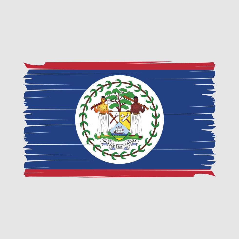 Pinselvektor mit Belize-Flagge vektor