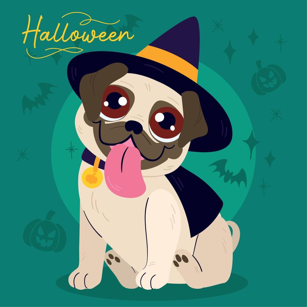 isolerat söt franska tjur hund med en halloween häxa kostym vektor
