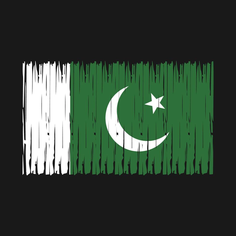 pakistan flagge bürste vektor