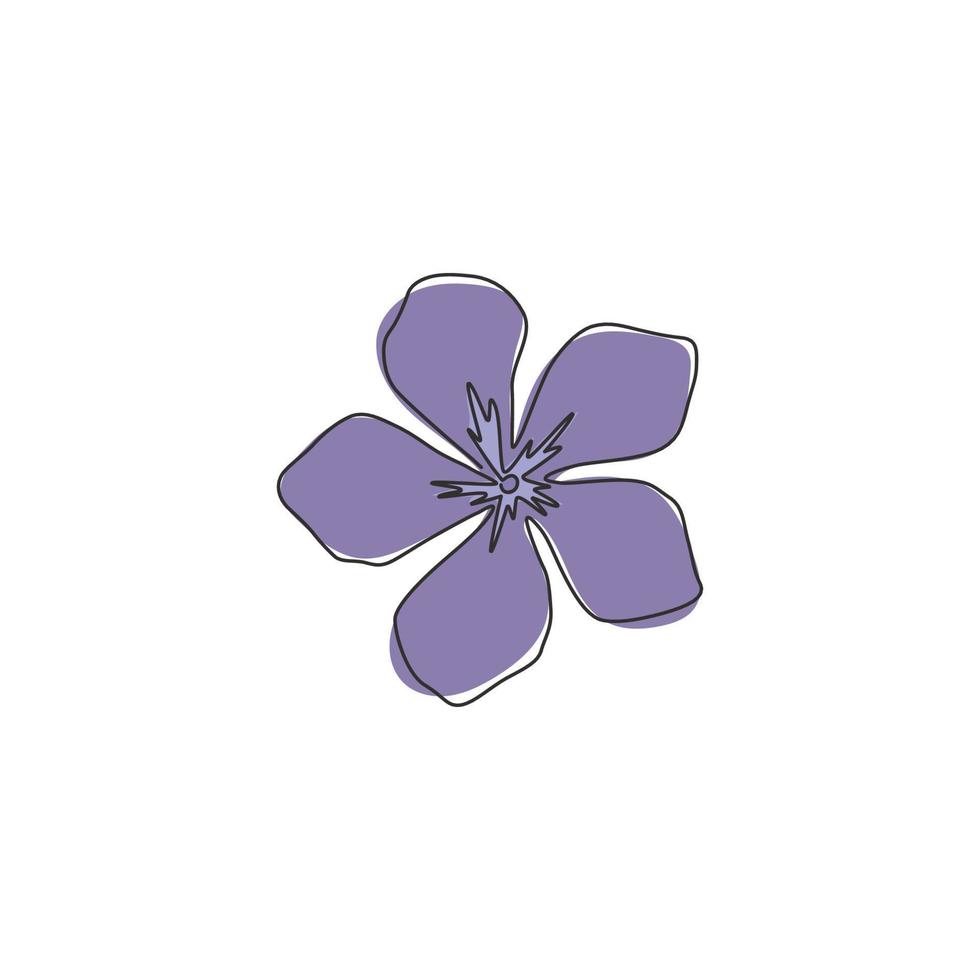 en kontinuerlig linjeteckning skönhet fräsch snäcka för trädgårdslogotyp. utskrivbart dekorativt catharanthus blomkoncept för hemväggsdekoration affischkonst. moderna en rad rita design vektorillustration vektor