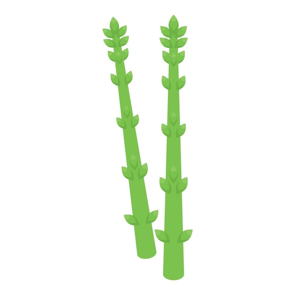 Grün Salat Pflanze Symbol isometrisch Vektor. Essen Diät vektor