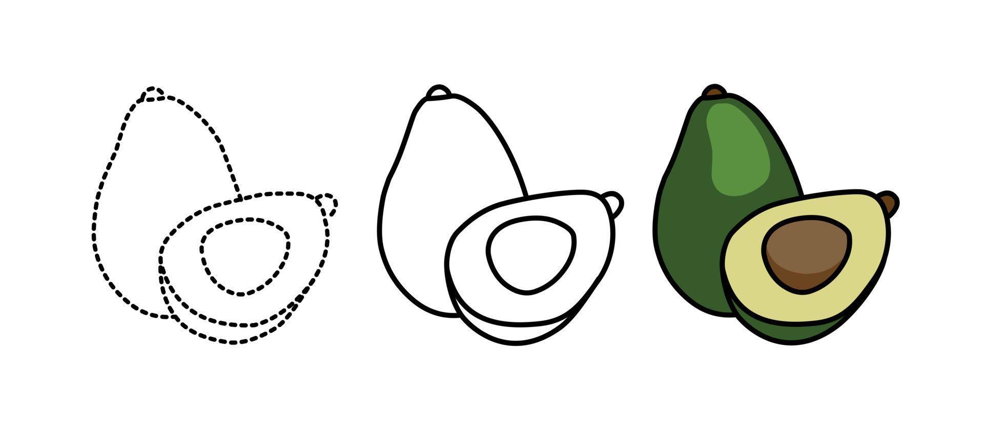 avokado frukt färg sidor vektor