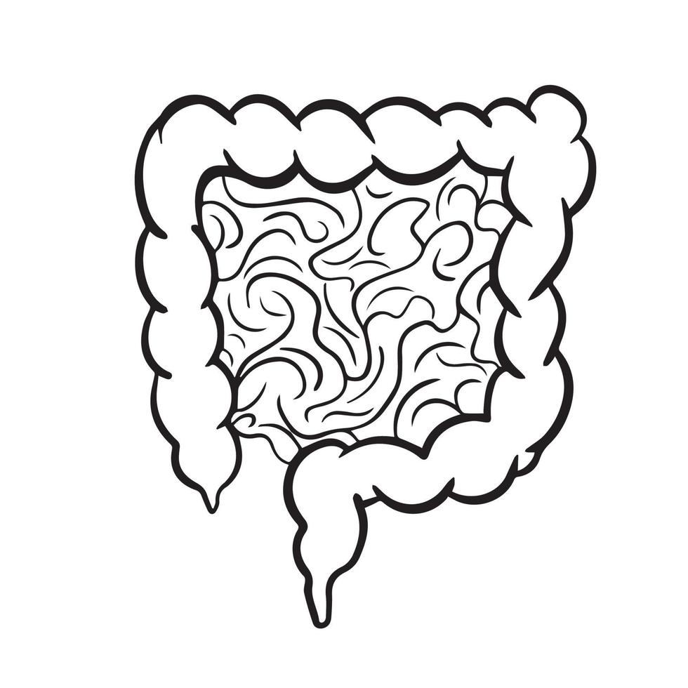 mänsklig tarmar svart och vit vektor illustration översikt isolerat på fyrkant vit bakgrund. mänsklig inre organ skål mage med tecknad serie enkel platt konst stil.