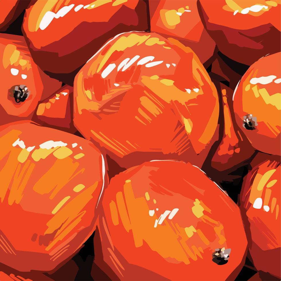 reif rot und gelblich Tomaten Digital Vektor Illustration malen. Obst Gemüse isoliert auf Platz Vorlage.