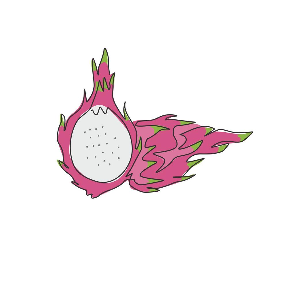 Eine einzige Strichzeichnung von ganzen gesunden Bio-Drachenfrüchten für die Identität des Obstgarten-Logos. Frisches Drachenfruchtkonzept für Obstgartensymbol. moderne durchgehende Linie zeichnen Design-Grafik-Vektor-Illustration vektor