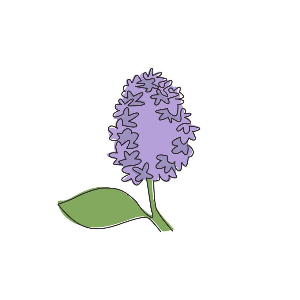 einzelne durchgehende Strichzeichnung Schönheit frische Syringa vulgaris für Wohnkultur Posterdruck Wandkunst. bedruckbare dekorative lila blume hochzeitseinladungskarte. eine linie zeichnen design vektorillustration vektor