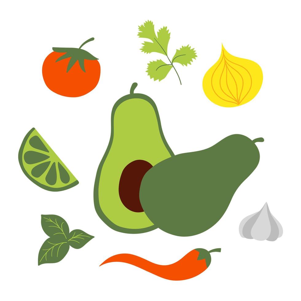 frisch roh Zutaten zum Mexikaner Avocado Soße Guacamole. eben Vektor Illustration