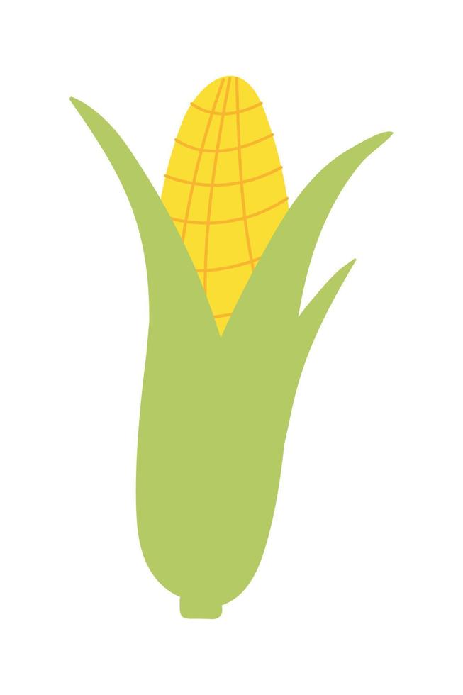 vegetabiliska majs majskolv klotter platt illustration på vit bakgrund. vektor grafik design