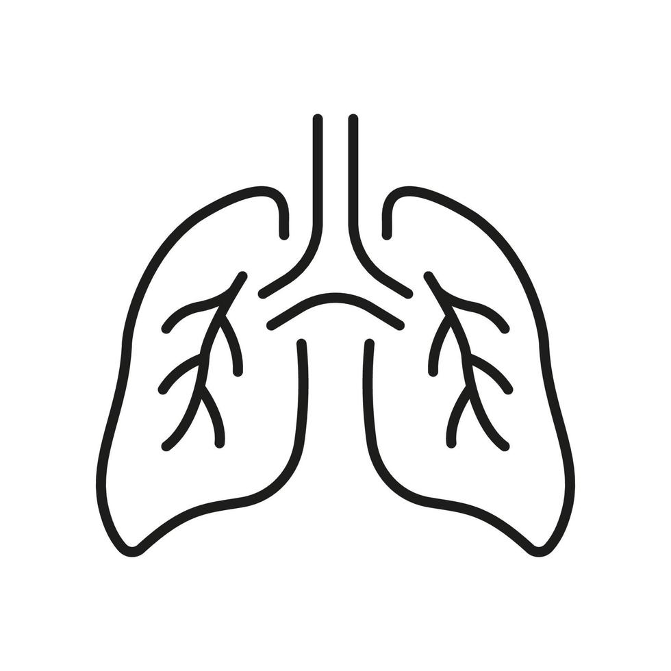 Symbol für menschliche Lungenlinie. Bronchien und Trachea-Atemsystem-Piktogramm. Umrisssymbol für gesunde Bronchialatmungsorgane. Lungenentzündung Atmungskrankheit. editierbarer Strich. isolierte Vektorillustration. vektor