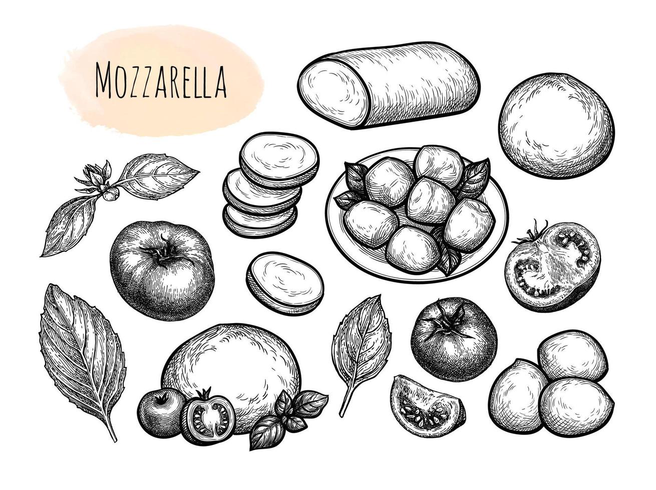 mozzarella ost med tomater och basilika. stor uppsättning. bläck skisser isolerat på vit bakgrund. hand dragen vektor illustration. årgång stil stroke teckning.