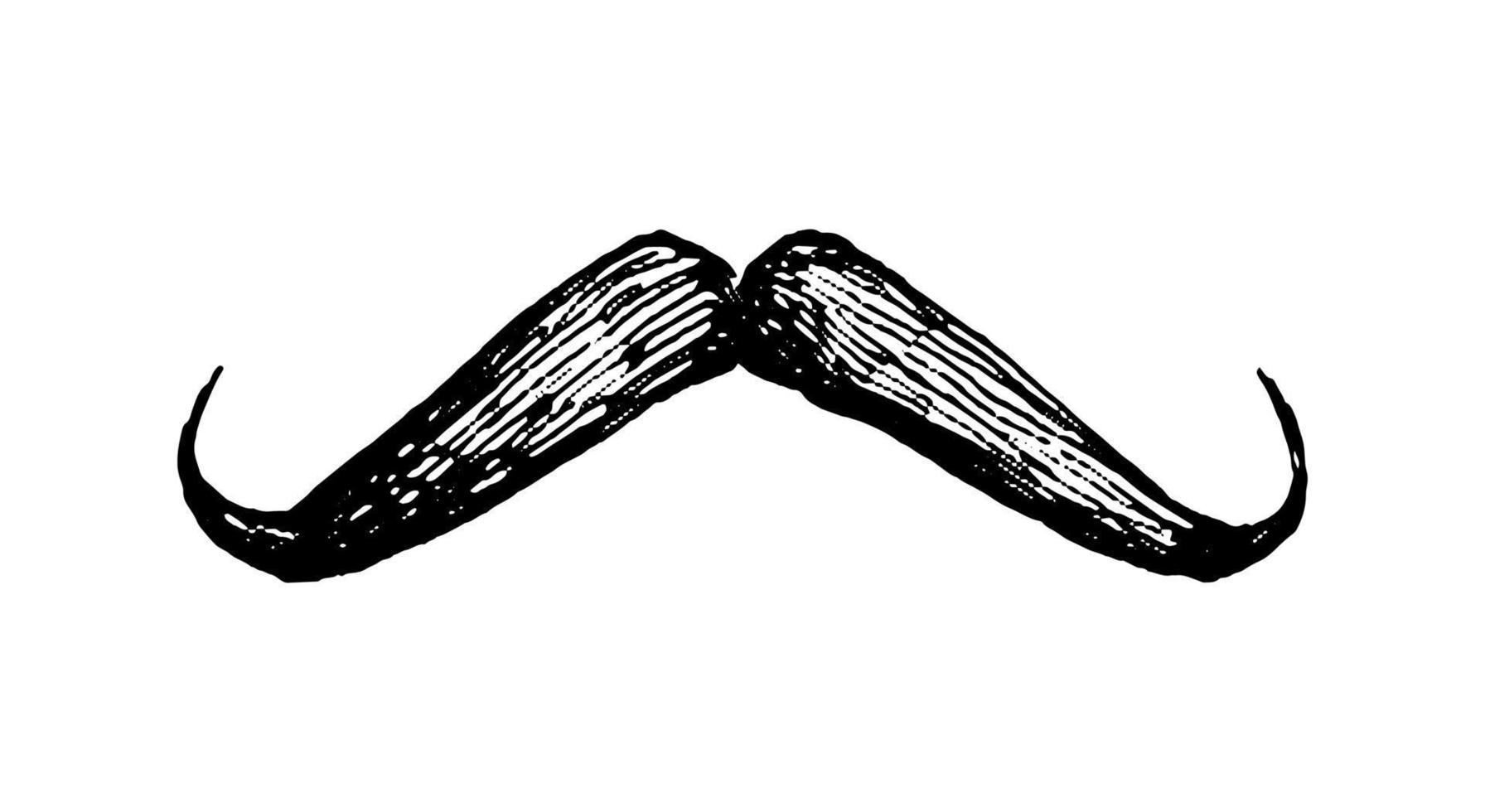 mustasch bläck illustration. . årgång stil stroke teckning. vektor