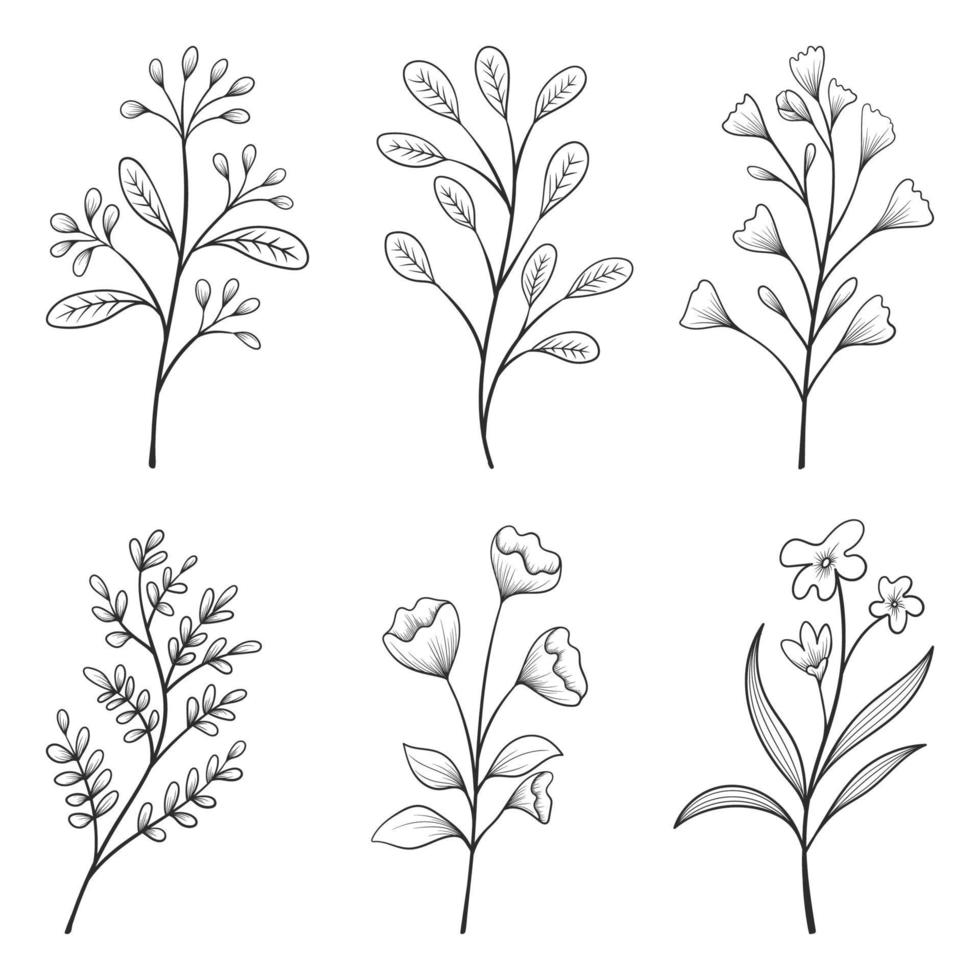 samling av örter och vilda blommor och blad isolerad på vit bakgrund. vektor